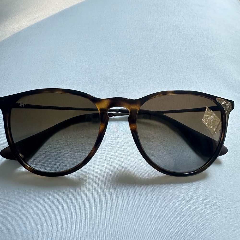 Ray-Ban Polarized Erika Classic RB4171 Sunglasses